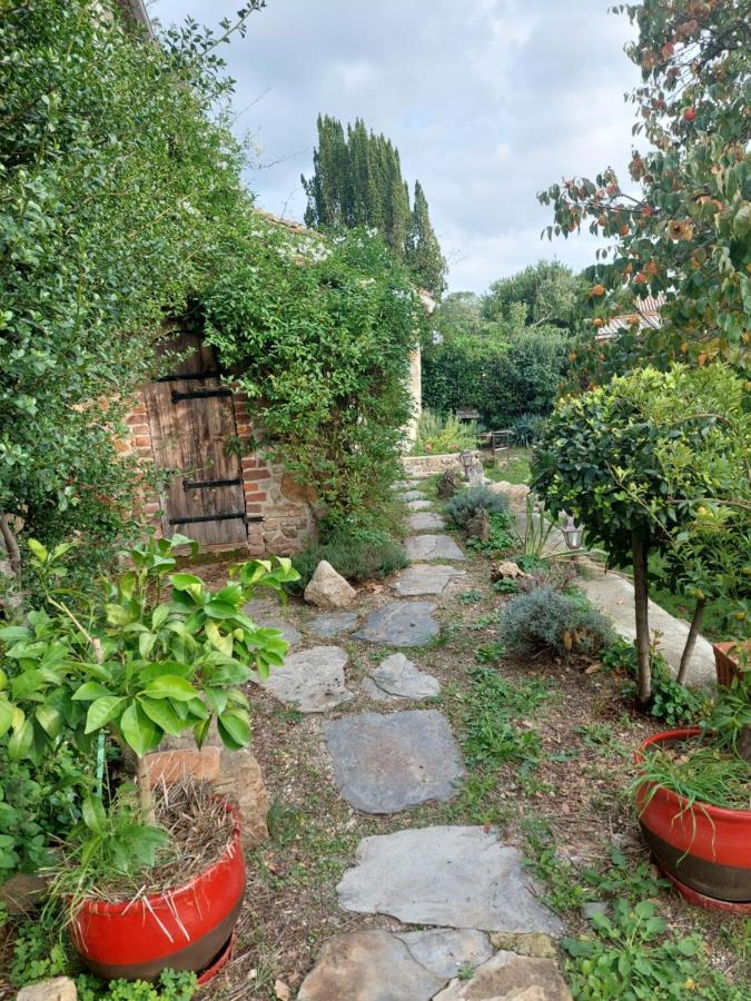 Le Mas Du Galibot Chambre Cambalotte Saint-Florent-sur-Auzonnet Екстериор снимка