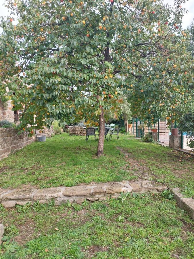 Le Mas Du Galibot Chambre Cambalotte Saint-Florent-sur-Auzonnet Екстериор снимка